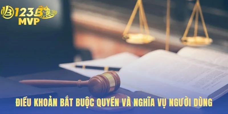 Điều Khoản Và Điều Kiện 123B | Quy Định Chính Thức 1 Quyền và nghĩa vụ người dùng xác định trách nhiệm hai chiều