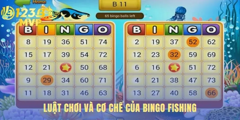 Bingo Fishing | Hướng Dẫn Chơi Chi Tiết Tại 123B 2 Bingo fishing sở hữu cơ chế gameplay hai lớp độc đáo